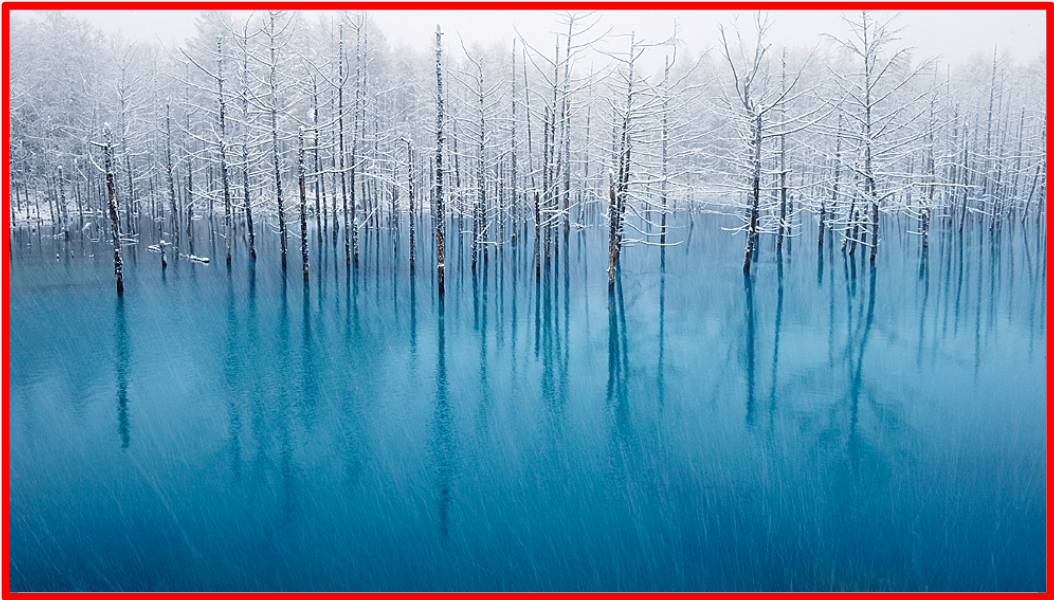 Ukázková fotografie s rámečkem