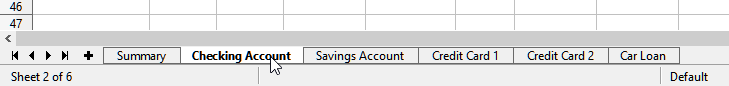 Click on the Checking Account sheet tab