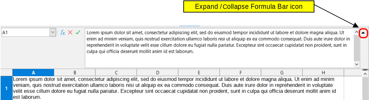 Expanded Input line on Formula Bar