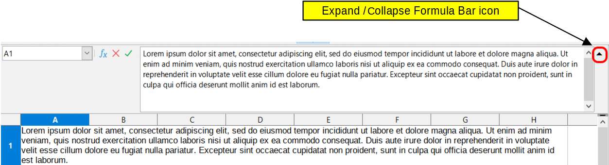 Expanded Input line on Formula Bar