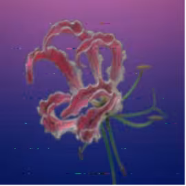 Example sharpen filter applied
