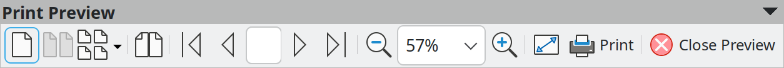 Print Preview toolbar