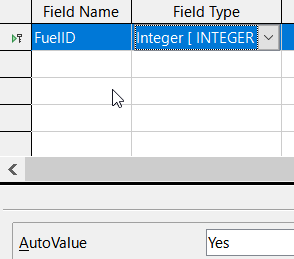 Defining the primary key field