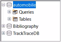 Databases in Data Sources window