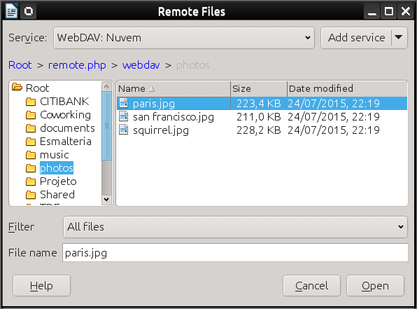 Remote Files dialog when connected to a server