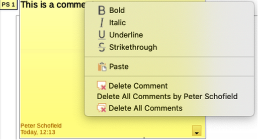 Figure 47: Example of inserting a comment
