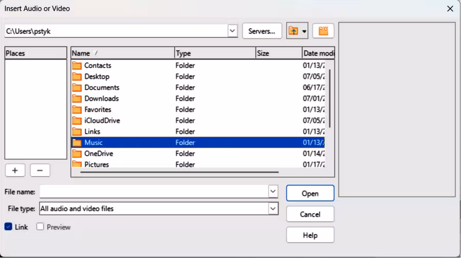 Insert Audio or Video dialog