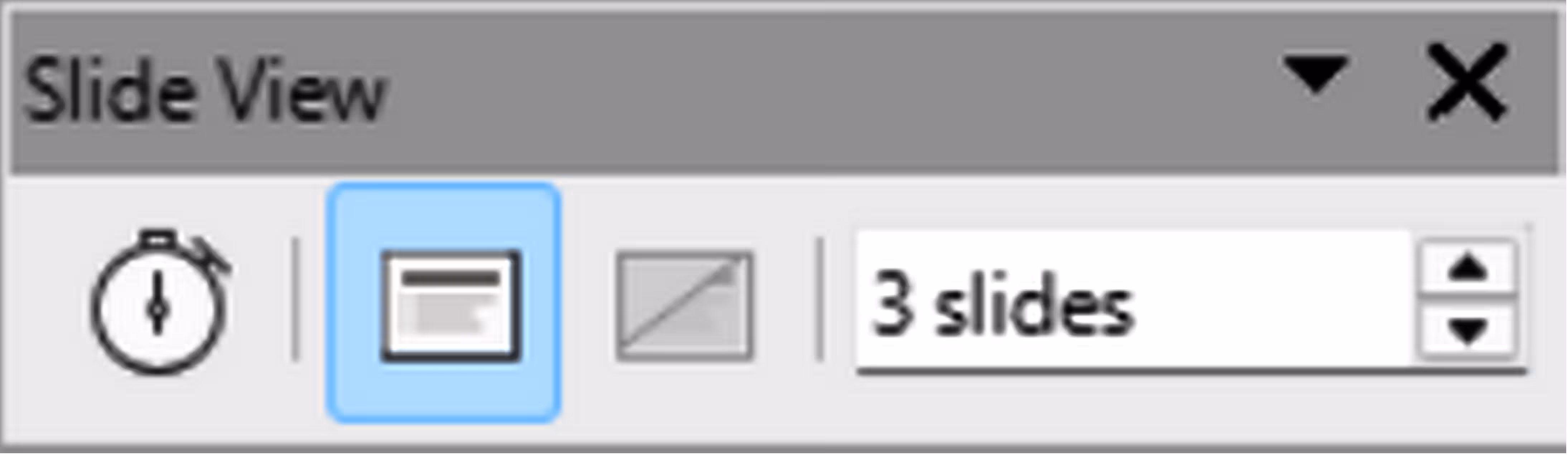 Slide View toolbar