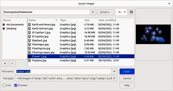 Figure 1: Example of Insert Image file browser