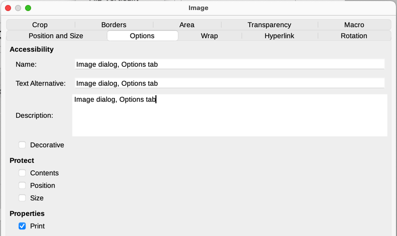 Image dialog, Options tab