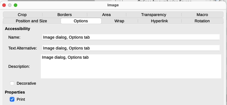 Image dialog, Options tab