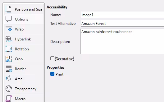Image dialog, Options tab