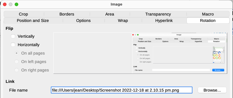 Rotation tab of Image dialog, showing Link file name