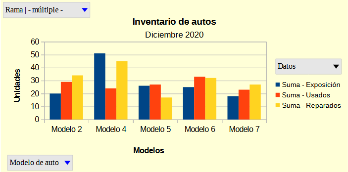 Filtro aplicado a los campos de fila y de página