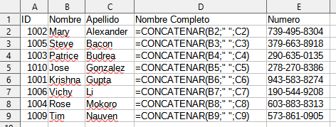 Exportación de valores y fórmulas.