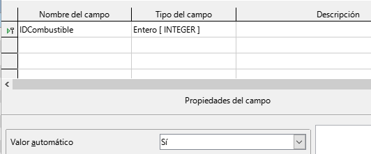 Definición del campo clave principal