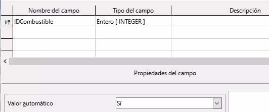 Definición del campo clave principal