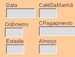 campos de um formulário simples