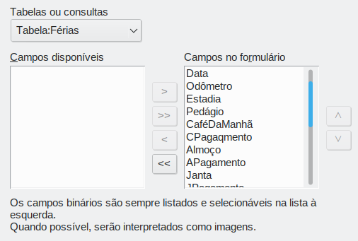 selecionar campos no Assistente de formulários