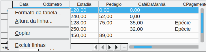 excluir uma linha na janela Fontes de dados